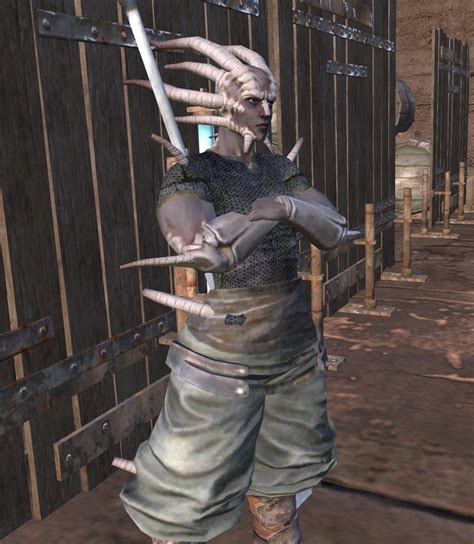 where is the stone golem kenshi|kenshi esata.